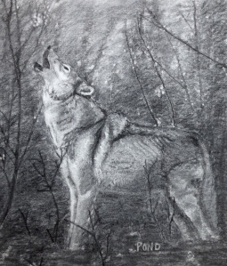 "The Wolf" Charcoal Drawing, age 16